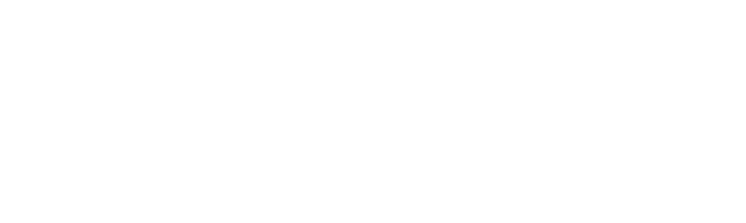 Ziel Consulting